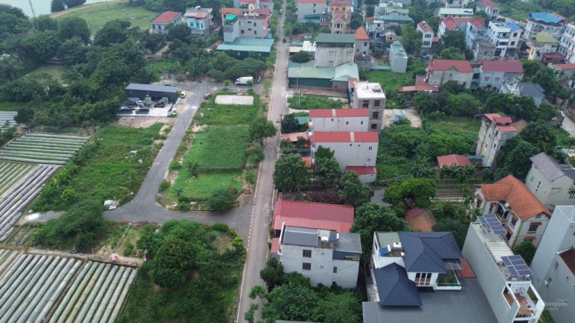 Bán đất đấu giá x4 xóm đầm vân nội - vị trí đắc địa 7355516