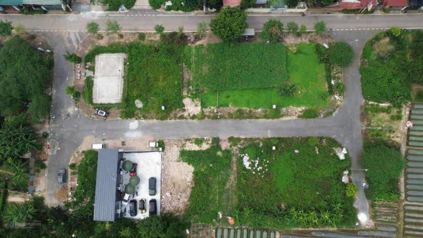 Bán đất đấu giá x4 xóm đầm vân nội - vị trí đắc địa 7355517