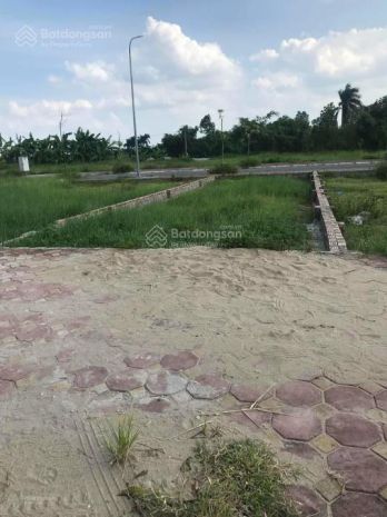 Bán đất đấu giá x4 xóm đầm vân nội - vị trí đắc địa 7355520