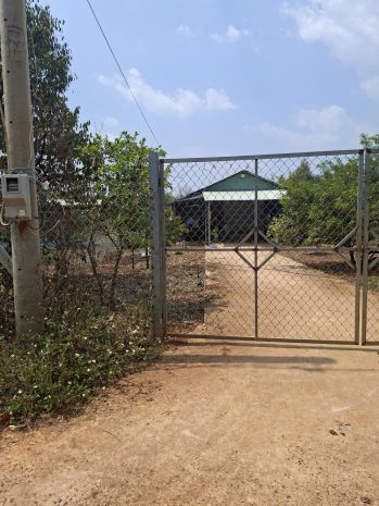 Bán vườn sầu riêng đất đồng nai 240.tiẻu 7358671