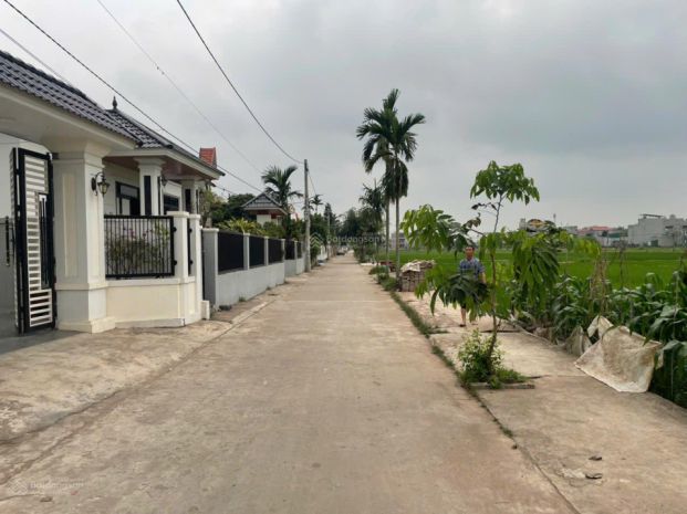 Bán đất thôn quang trung xã quỳnh phụ - cách kcn sao vàng 7362124