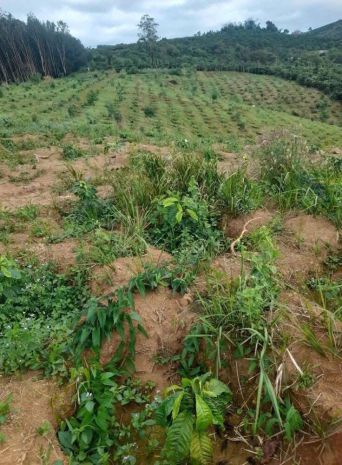 Bán bán đất vườn đất thuộc phường đông gia nghĩa cách trung 7362264