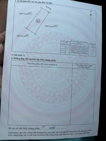 Đất đẹp  giá tốt  chính chủ cần bán đất tại xóm 3 lạc sơn 7363855