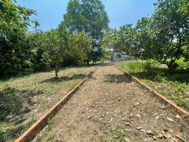 Đất đẹp  giá tốt  chính chủ cần bán 2 lô đất an nhơn tây, 7363863