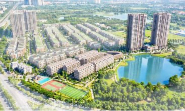 Căn hộ 3pn mường thanh phú hữu 81m² chỉ từ 3,6 tỷ  hiếm 7365326