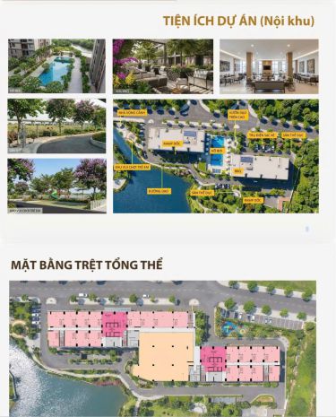 Căn hộ 3pn mường thanh phú hữu 81m² chỉ từ 3,6 tỷ  hiếm 7365328