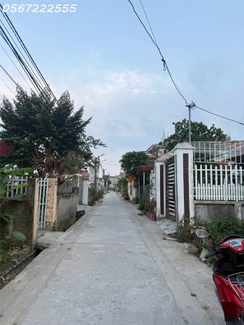 Bán đất bàng la, đồ sơn sát chợ - diện tích 126m2 nở hậu - 7368648