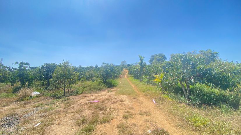 3,7 héc ta  37.000m2  hẻm ql28b, ninh gia, đức trọng cũ, l 7368910