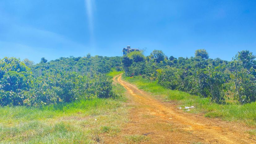3,7 héc ta  37.000m2  hẻm ql28b, ninh gia, đức trọng cũ, l 7368911
