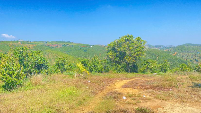 3,7 héc ta  37.000m2  hẻm ql28b, ninh gia, đức trọng cũ, l 7368913
