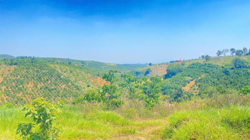 3,7 héc ta  37.000m2  hẻm ql28b, ninh gia, đức trọng cũ, l 7368914