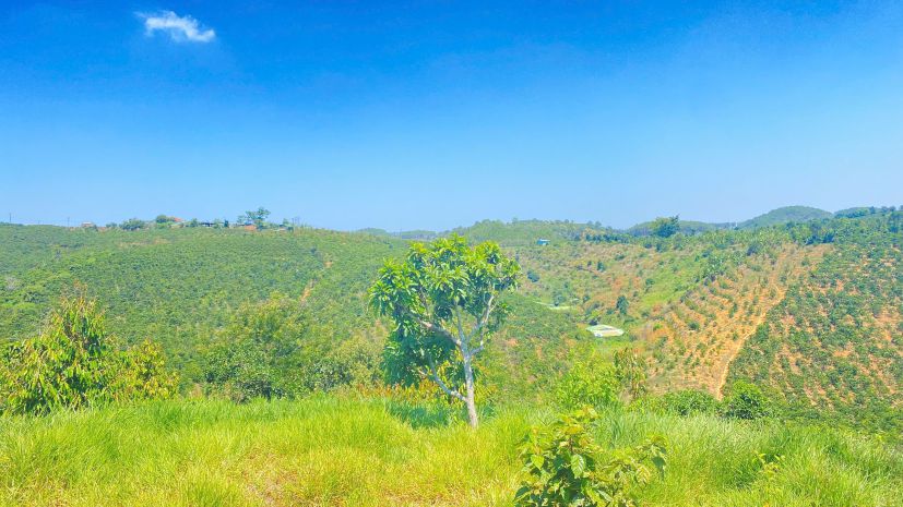 3,7 héc ta  37.000m2  hẻm ql28b, ninh gia, đức trọng cũ, l 7368915
