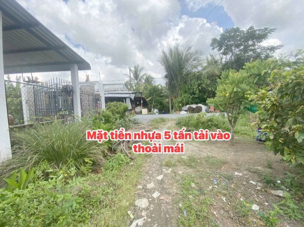 Cần bán đất vườn giá tốt  tích thiện, trà ôn, vĩnh long 7370258
