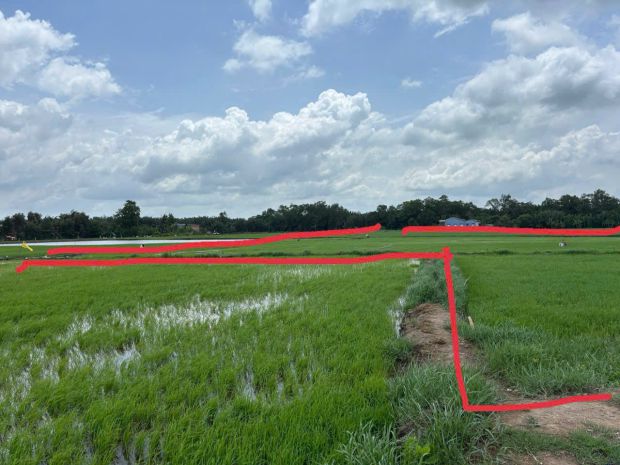 Cần bán 3 miếng đất ruộng  liền kề ven sông tại ấp 3, xã 7370395