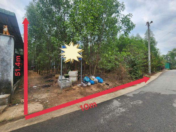 Đất thạnh phước tân uyên, ngân hàng thanh lý đất ngang 10m, 7370678