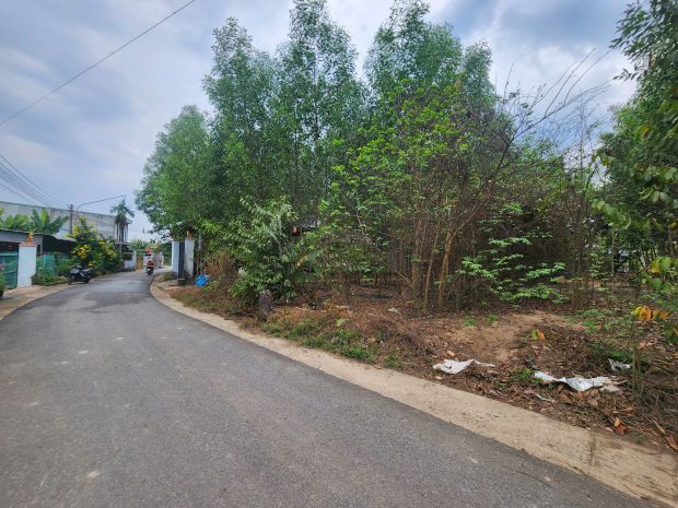 Đất thạnh phước tân uyên, ngân hàng thanh lý đất ngang 10m, 7370681