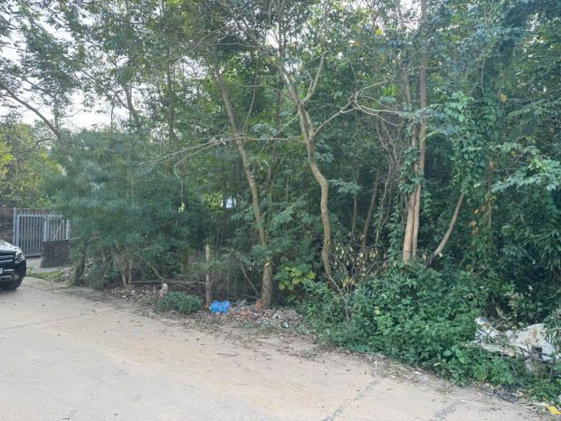 Siêu phẩm đất nền ngay ngã tư lê duẩn  phùng chí kiên, 7370695