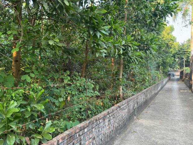 Siêu phẩm đất nền ngay ngã tư lê duẩn  phùng chí kiên, 7370696