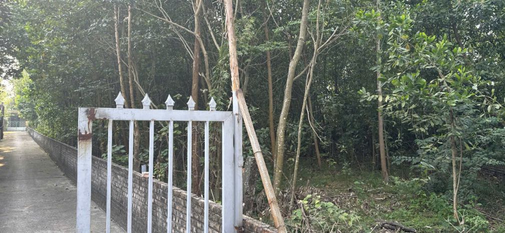 Siêu phẩm đất nền ngay ngã tư lê duẩn  phùng chí kiên, 7370697