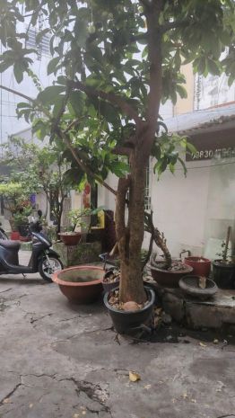 Bán nhà cấp 4, hxh cù lao, ngay khu phan xích long, cn 7370880