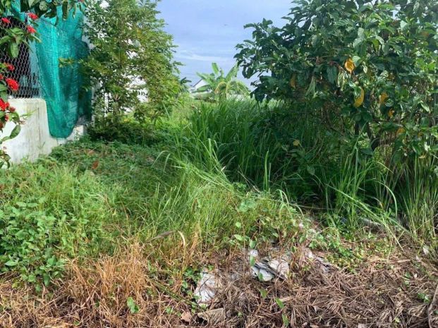 Đất đẹp  giá tốt  chính chủ cần bán gấp đất tại xã nhị 7371223