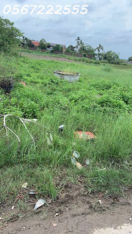 Bán đất tdp đề thám, minh đức, đồ sơn - trục đường rộng 6m 7371658