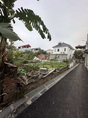 Quỹ đất cuối cùng 45m² chỉ 2,x tỷ tại đường yên, đông anh - 7371813