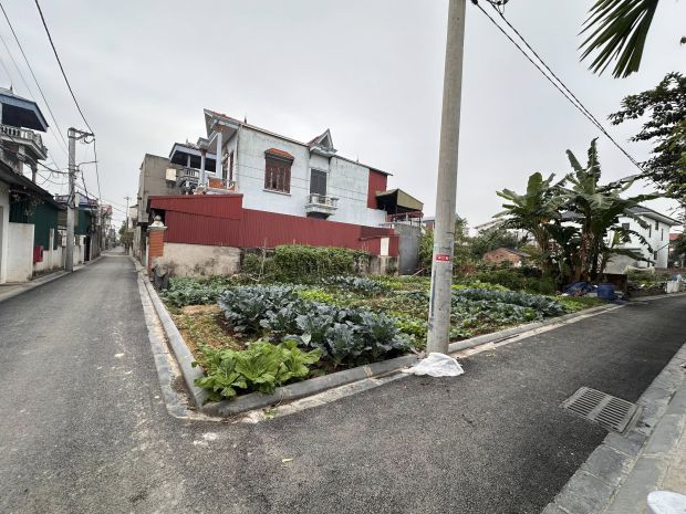 Quỹ đất cuối cùng 45m² chỉ 2,x tỷ tại đường yên, đông anh - 7371815