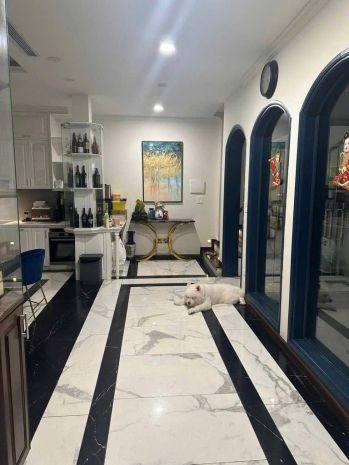 Phố vip- mặt tiền khủng -hoa hậu tây hồ phố nguyễn đình thi 7372797