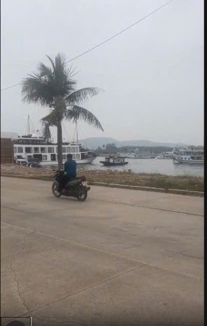 Hàng hiếm mặt biển tuần châu  đón sóng vin hạ long xanh, 7372847