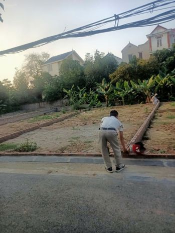 Bán đất xóm gà cổ loa - 80m2 - đường thông ô tô 7374053