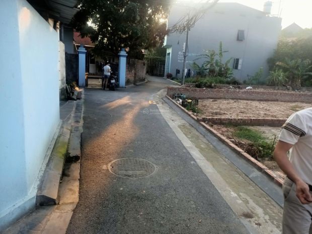 Bán đất xóm gà cổ loa - 80m2 - đường thông ô tô 7374054