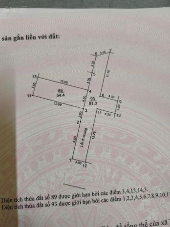 Bán 54.4m2 đất thuỵ lâm ngay gần vin - ô tô vào đất 7374153