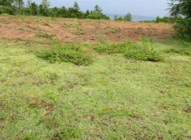 Bán đất biển diện tích lớn  cơ hội đầu tư hiếm 7374917