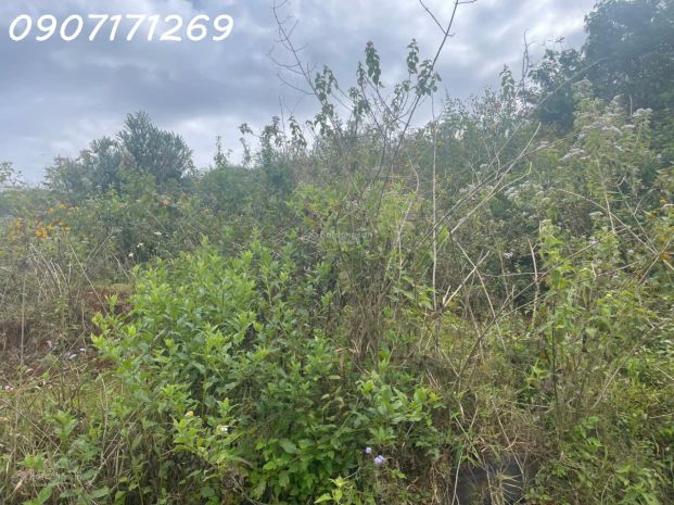 Bán đất manglin tại phường 7 tp đà lạt nay là phường 7376181