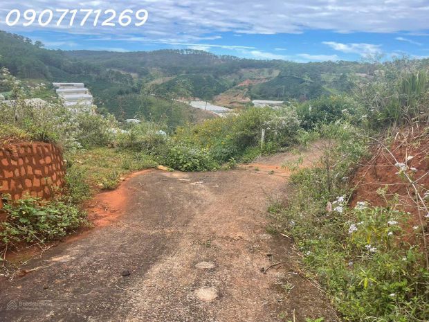 Bán đất manglin tại phường 7 tp đà lạt nay là phường 7376183