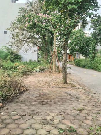 Cần bán lô đất đẹp tại khu đô thị phía tây cầu 7376964