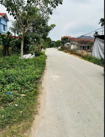 Em có mấy lô đất đẹp tại nguyên lý  lý nhân  hà nam cần 7379293