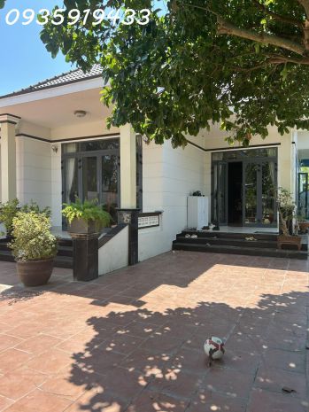 Sở hữu cơ ngơi sân vườn 640m2 tại diên an - giá đã giảm sâu 7379672