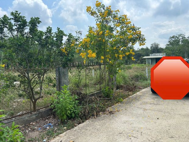 Chính chủ bán gấp đất 920m2 tại chợ định hiệp 7380339