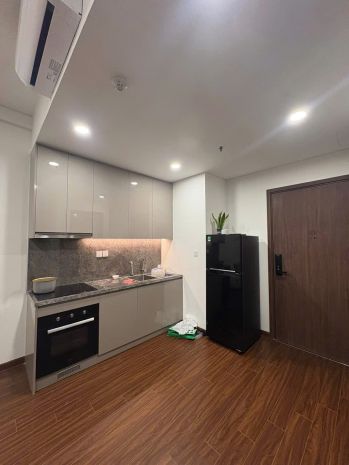 Cho thuê căn hộ 1 phòng ngủ đầy đủ nội thất tại vinhomes 7381642