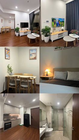 Cho thuê căn hộ 1 phòng ngủ đầy đủ nội thất tại vinhomes 7381644