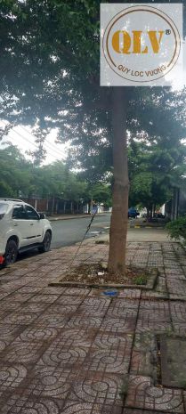 Bán nhà xưởng kcn đức hòa, long an 3.108m² 7381795