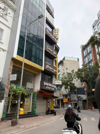 Bán nhà mặt phố phan kế bính, vỉa hè rộng, 50m2, 7 tầng 7386024