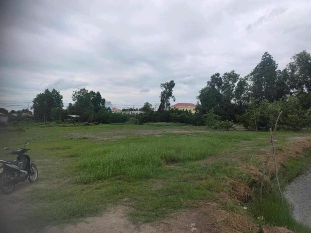 Siêu phẩm đất mặt tiền 826d  tân tập, long hậu 7387088