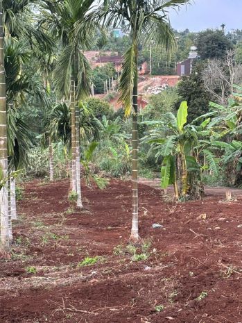 Đất đẹp  giá tốt   chính chủ cần bán 3 lô liền kề tại phú 7387752