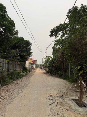 Bán đất 105m2 mt6m thôn đường yên, thư lâm, bìa làng giá 7389757