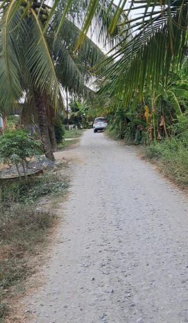 Chính chủ bán đất thổ cư gần lộ dừa  vĩnh công, châu 7389992