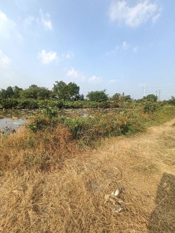 Đất cln- đỗ văn dậy - wien kênh sáng - hóc môn 6600m2 cạnh 7390645