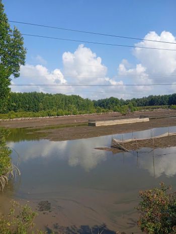 Chính chủ cần bán 2 mảnh đất có vị trí đẹp tại cà mau 7393618